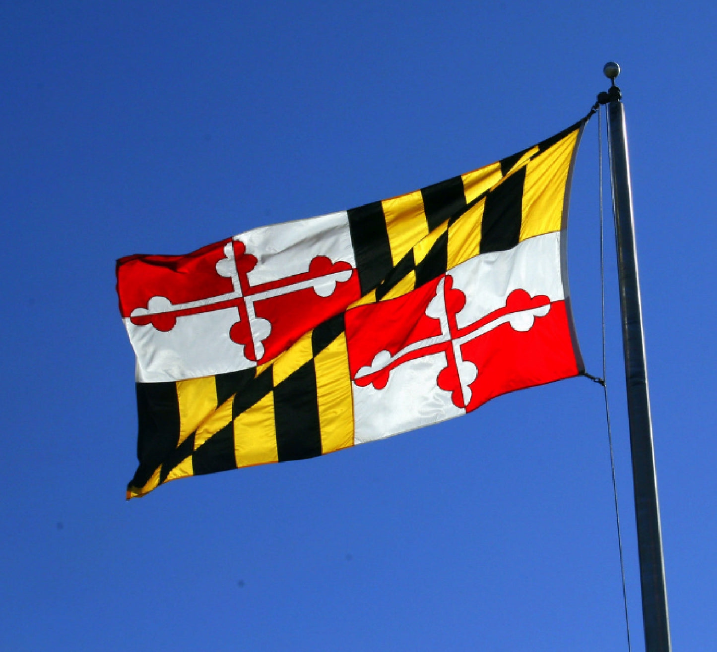 Maryland State Flag 3 Foot X 5 Foot (Standard Size)