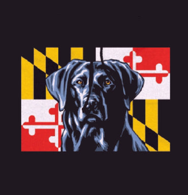 Maryland Dog and Flag Pullover Hoodie