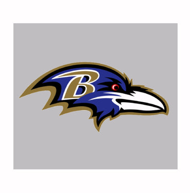 Baltimote Ravens Logo NFL Licensed Short Sleeve T-Shirt