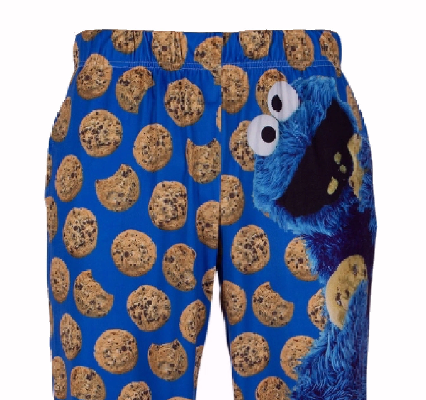Brief Insanity Sesame Street Cookie Monster Lounge Pants Pajamas