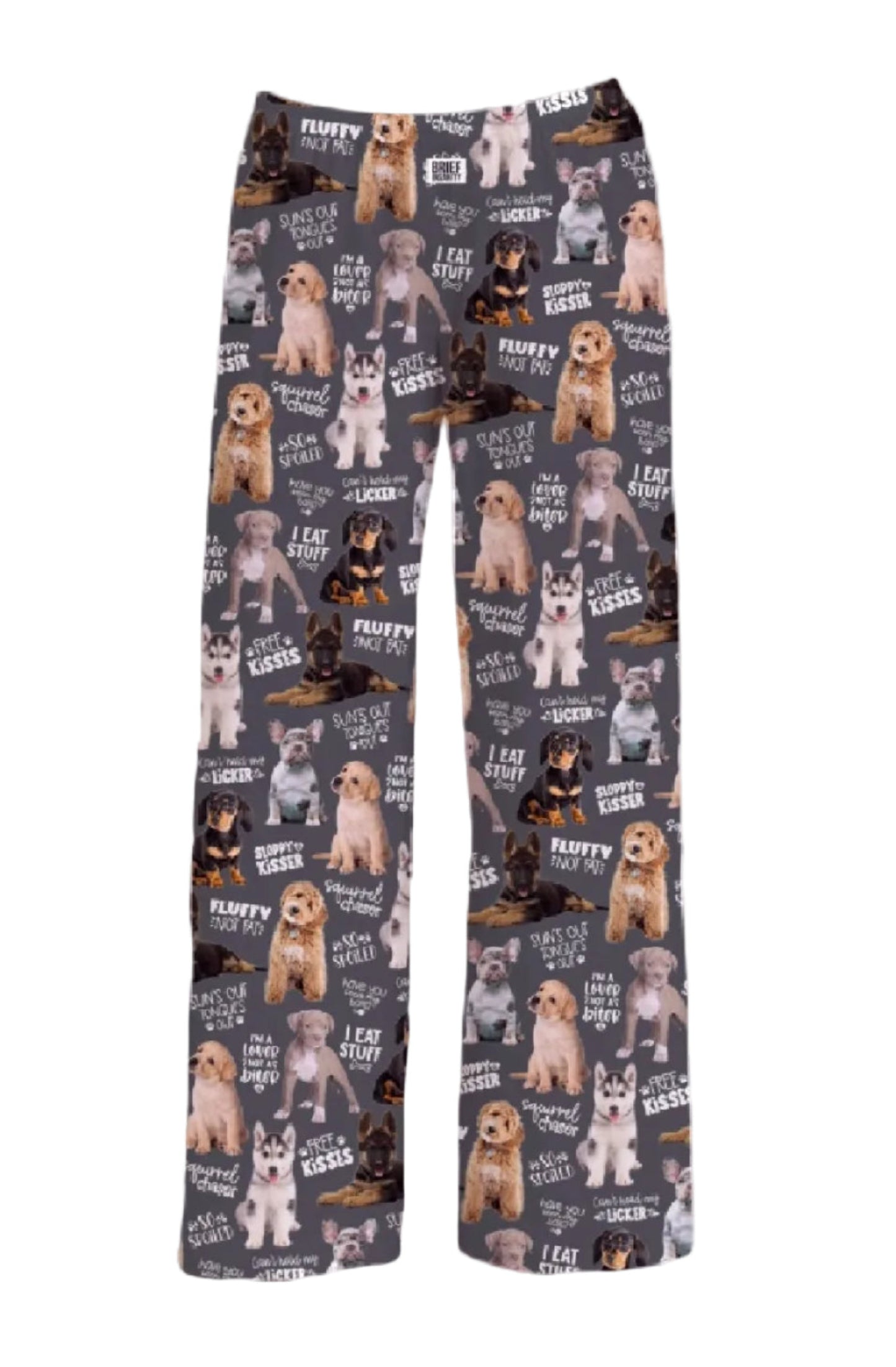 Brief Insanity Chalkboard Dog Lounge Pants Pajamas