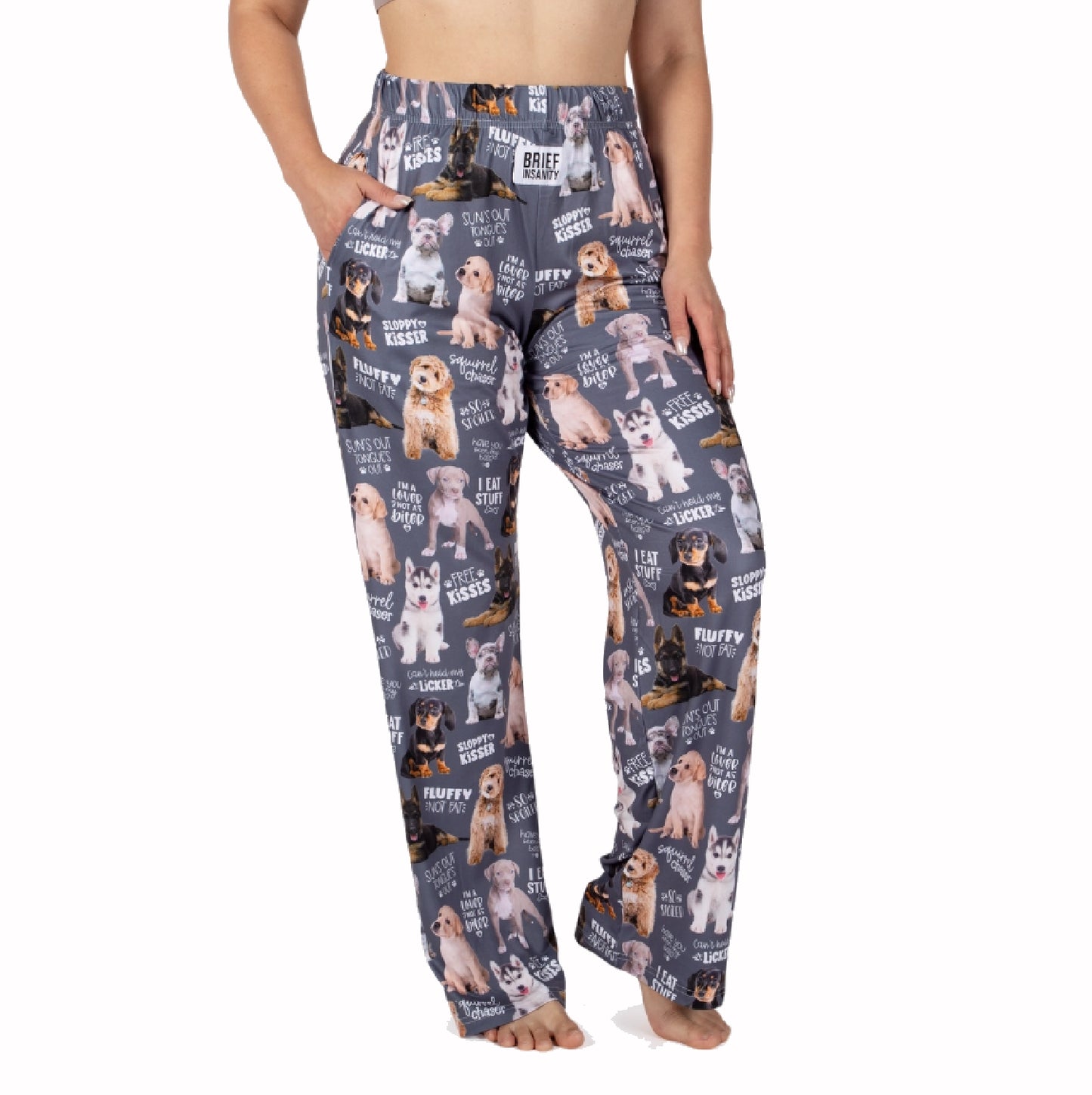 Brief Insanity Chalkboard Dog Lounge Pants Pajamas