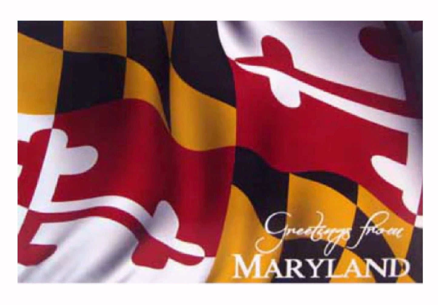 Greetings From Maryland Waving Flag Postcard